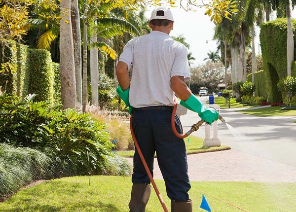 About Pauline SC Pest Control Pros